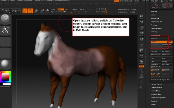 Creation of A colt: Step 18